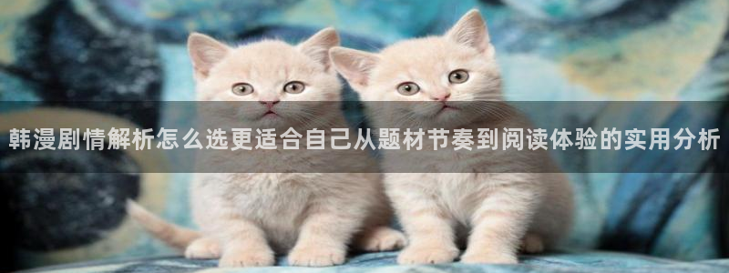 51漫画最新连载