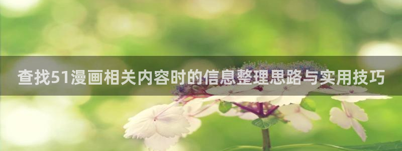 51漫画连载漫画推荐:查找51漫画相关内容时的信息整理思路与实用技巧