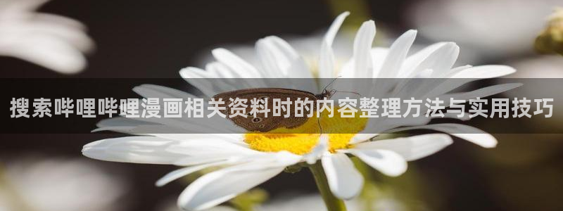 51漫画漫画分类:搜索哔哩哔哩漫画相关资料时的内容整理方法与实用技巧