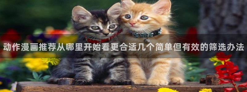 51漫画青年漫画:动作漫画推荐从哪里开始看更合适几个简单但有效的筛选办法